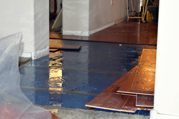Professional Sewage Cleanup technician working in North Stratford, NH
